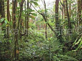 šuma i poljoprivredno, Prodaja, Plitvička jezera, Ličko Petrovo Selo