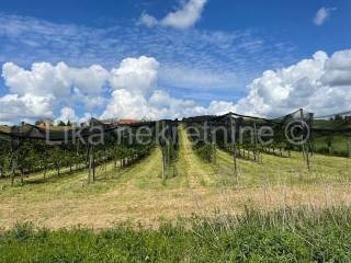 Obiteljsko imanje, Prodaja, Pisarovina, Dvoranci