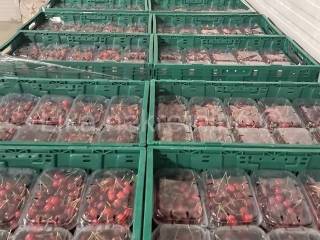 Obiteljsko imanje, Prodaja, Pisarovina, Dvoranci