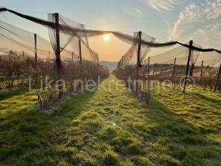 Obiteljsko imanje, Prodaja, Pisarovina, Dvoranci
