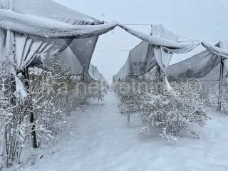 Obiteljsko imanje, Prodaja, Pisarovina, Dvoranci