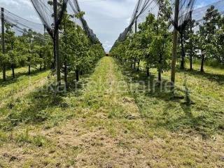 Obiteljsko imanje, Prodaja, Pisarovina, Dvoranci