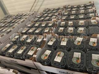 Obiteljsko imanje, Prodaja, Pisarovina, Dvoranci