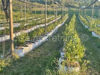 Obiteljsko imanje, Prodaja, Pisarovina, Dvoranci