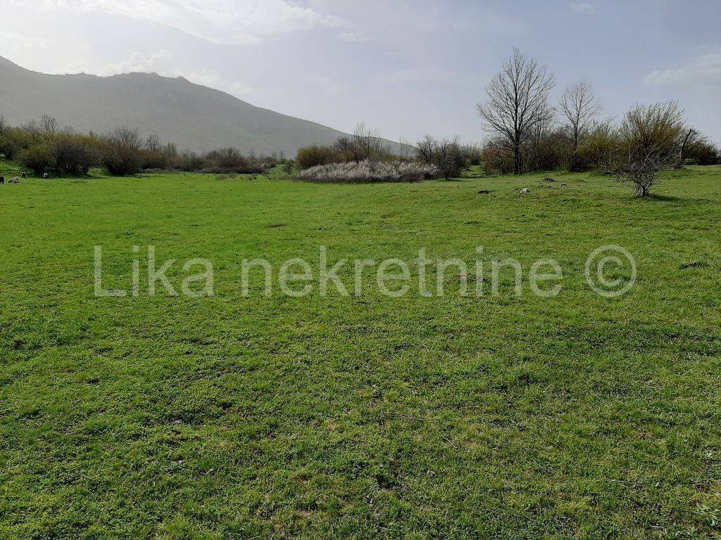 Obiteljsko gospodarstvo, Prodaja, Udbina, Komić