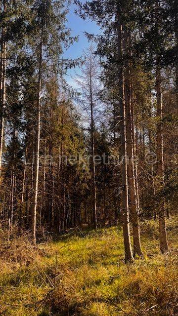 Građevinsko zemljište, Prodaja, Lekenik, Lekenik