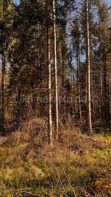 Građevinsko zemljište, Prodaja, Lekenik, Lekenik