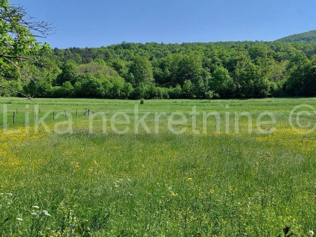 Poljoprivredno - oranica, Prodaja, Otočac, Sinac