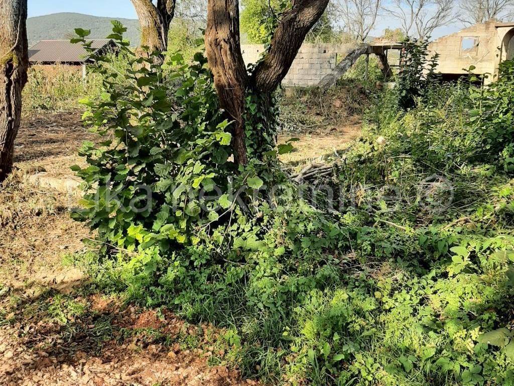 Kuća devastirana u Domovinskom ratu, Prodaja, Otočac, Brlog