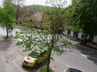 Obiteljska kuća, Prodaja, Otočac, Otočac