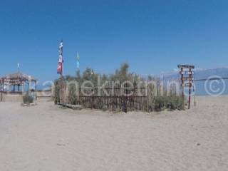 Apartmanska kuca, Prodaja, Privlaka, Privlaka