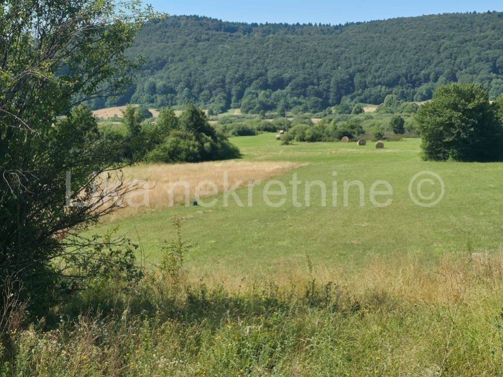 Kuća na selu, Prodaja, Brinje, Stajnica