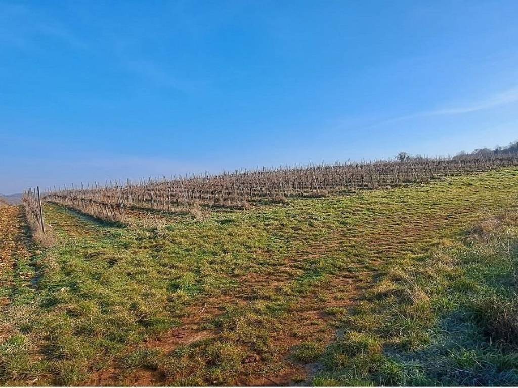 Oranica, Prodaja, Poreč, Poreč