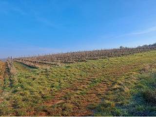 Oranica, Prodaja, Poreč, Poreč