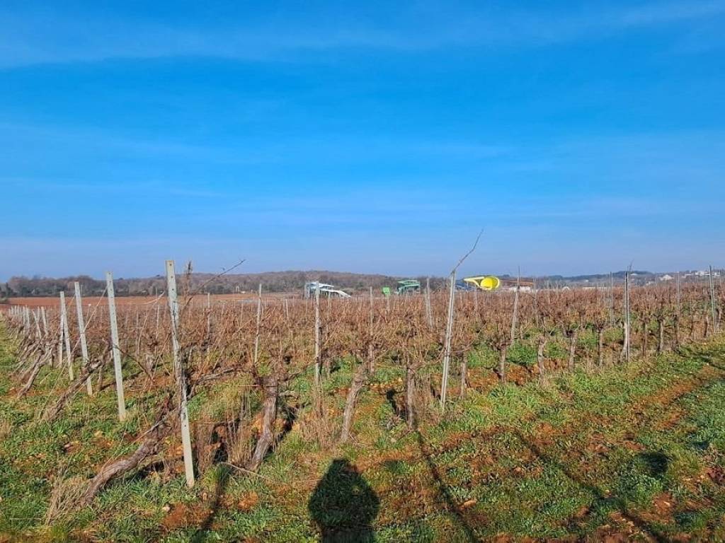 Oranica, Prodaja, Poreč, Poreč