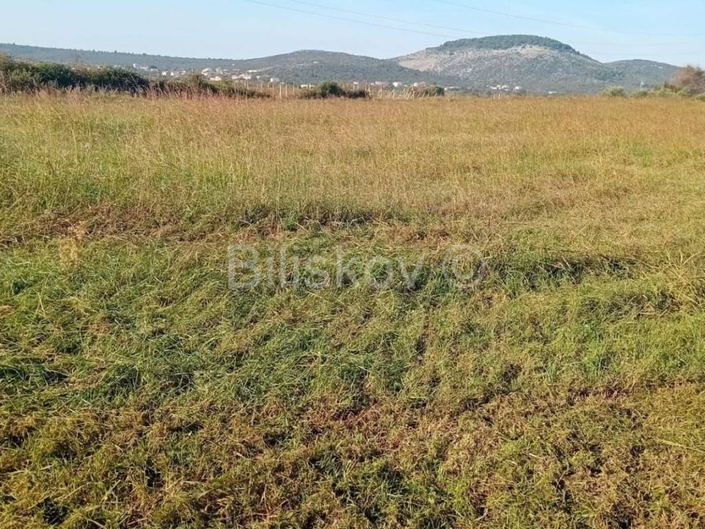 Poljoprivredno zemljište, Prodaja, Sveti Filip i Jakov, Donje Raštane