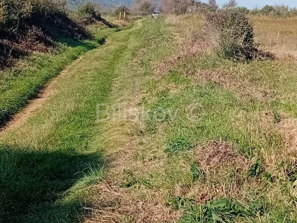 Poljoprivredno zemljište, Prodaja, Sveti Filip i Jakov, Donje Raštane