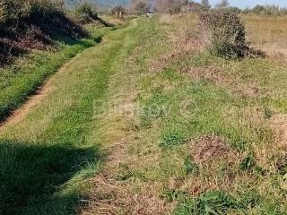 Poljoprivredno zemljište, Prodaja, Sveti Filip i Jakov, Donje Raštane