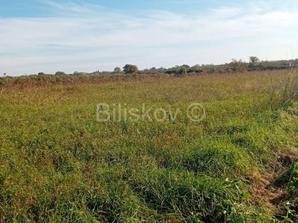 Poljoprivredno zemljište, Prodaja, Sveti Filip i Jakov, Donje Raštane