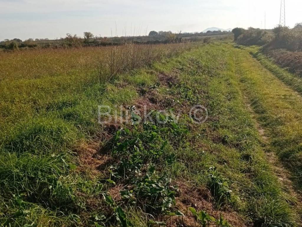 Poljoprivredno zemljište, Prodaja, Sveti Filip i Jakov, Donje Raštane