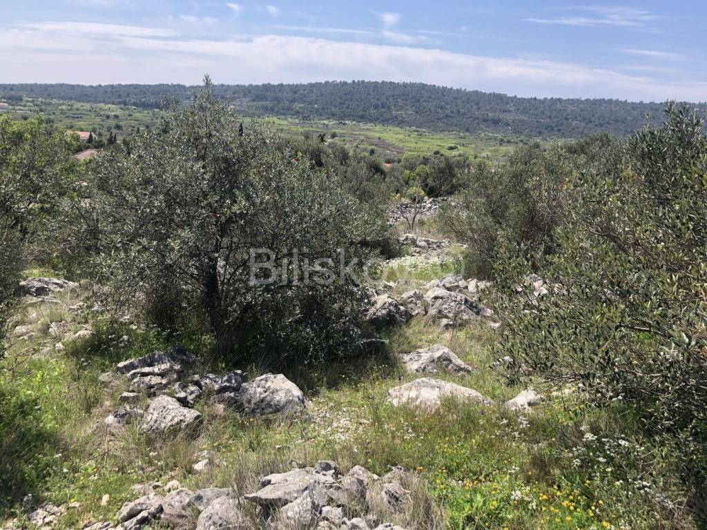 Građevinsko mješovito, Prodaja, Šolta, Grohote