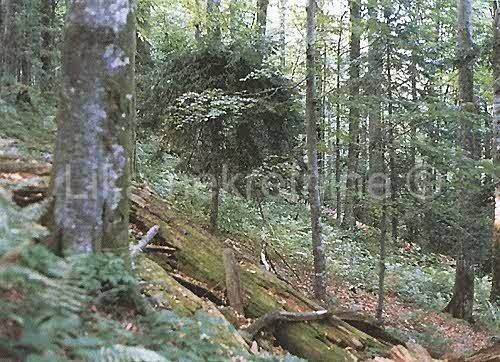 Zemljište, Prodaja, Plitvička jezera