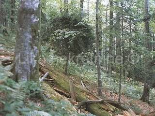 Zemljište, Prodaja, Plitvička jezera