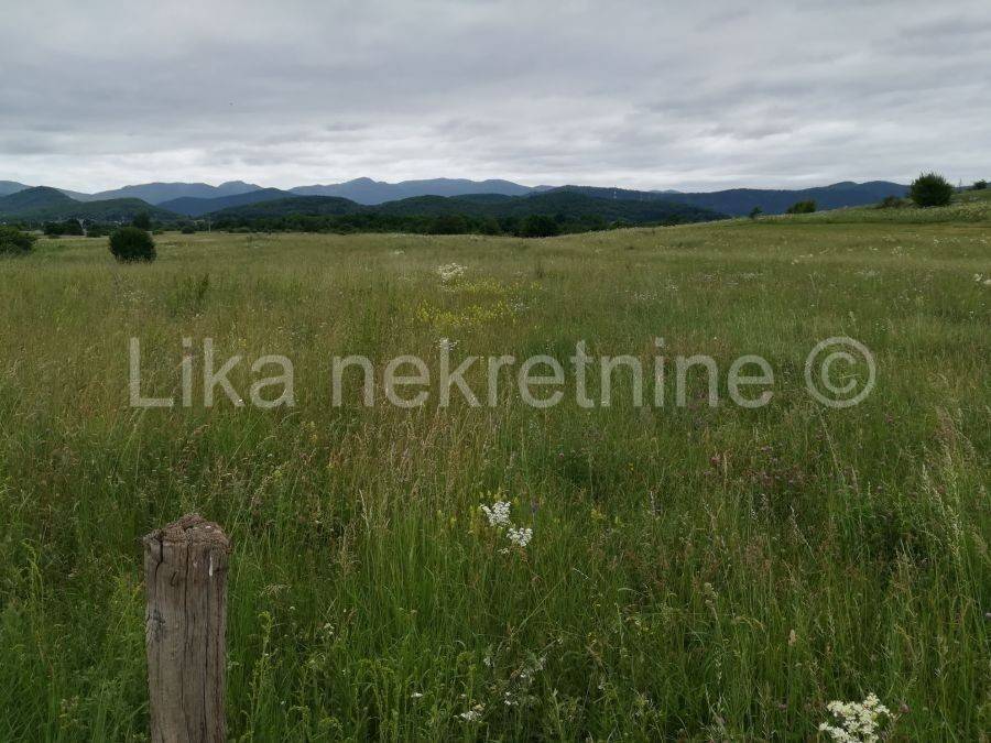 Oranica, Prodaja, Otočac, Otočac