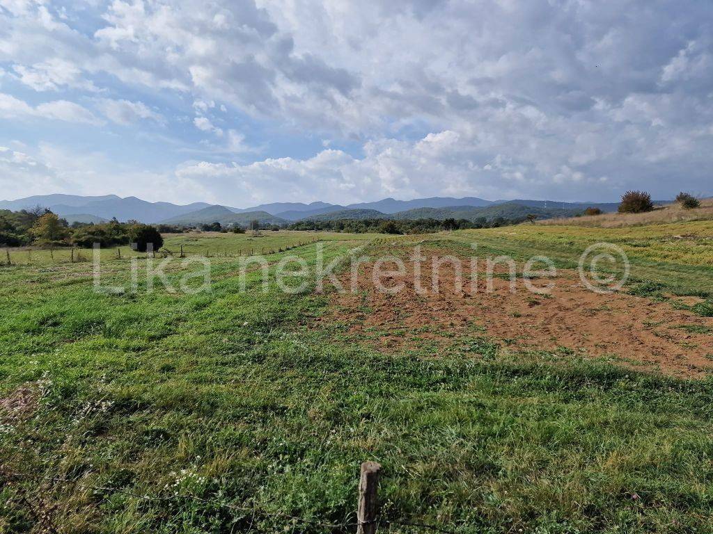 Oranica, Prodaja, Otočac, Otočac