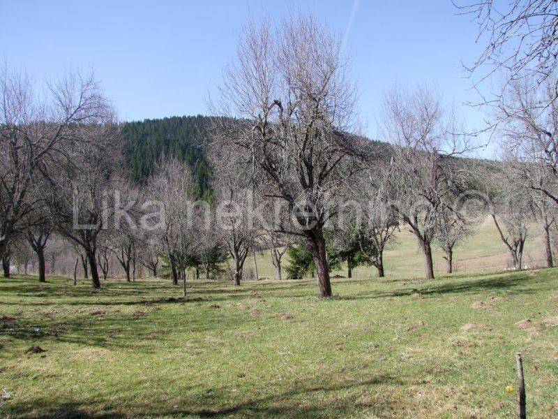 Seosko imanje , Prodaja, Vrhovine, Gornje Vrhovine