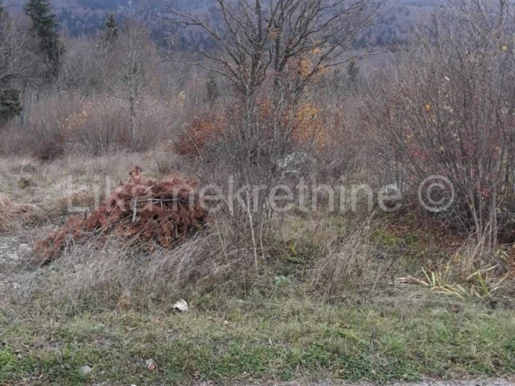 Građevnsko i poljoprivredno , Prodaja, Senj, Krasno Polje