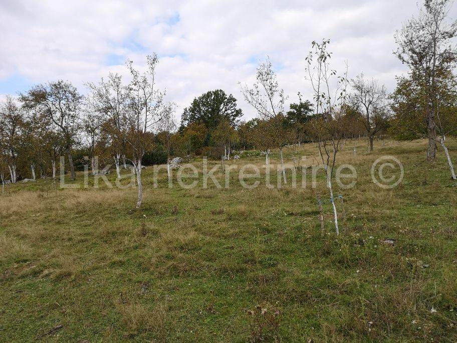 Građevinsko zemljište, Prodaja, Perušić, Perušić