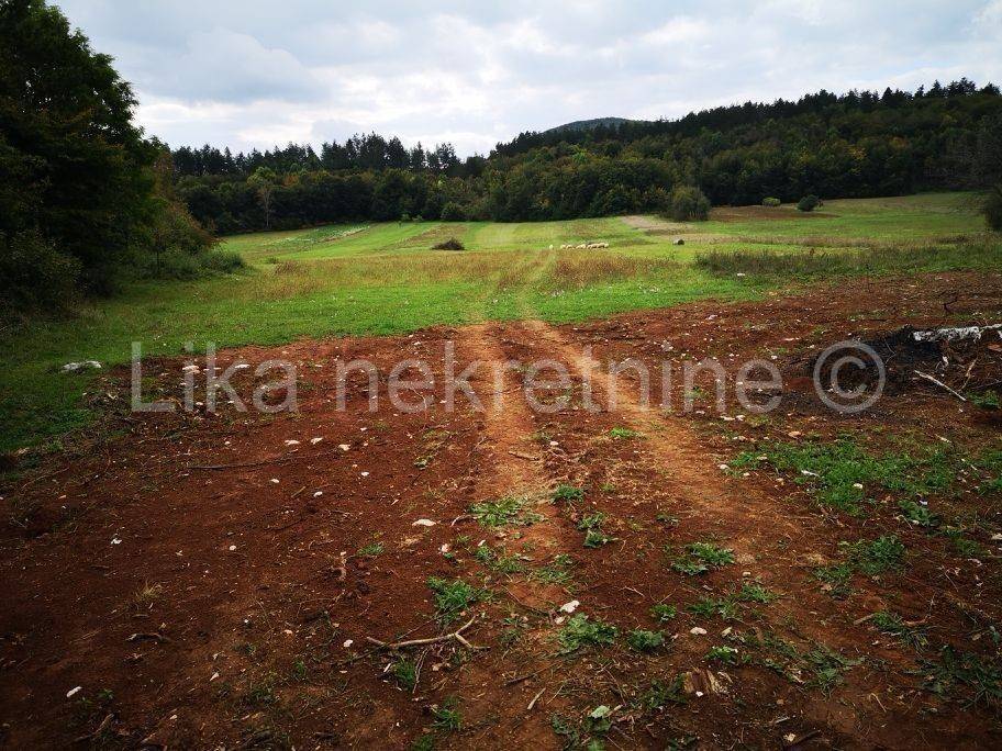 Građevinsko i poljoprivredno , Prodaja, Perušić, Perušić