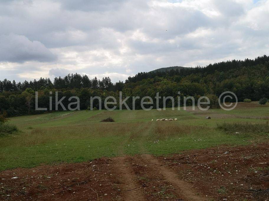 Građevinsko i poljoprivredno , Prodaja, Perušić, Perušić