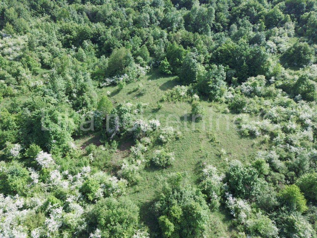 Građevinsko,poljoprivredno,šuma, Prodaja, Plitvička jezera, Smoljanac