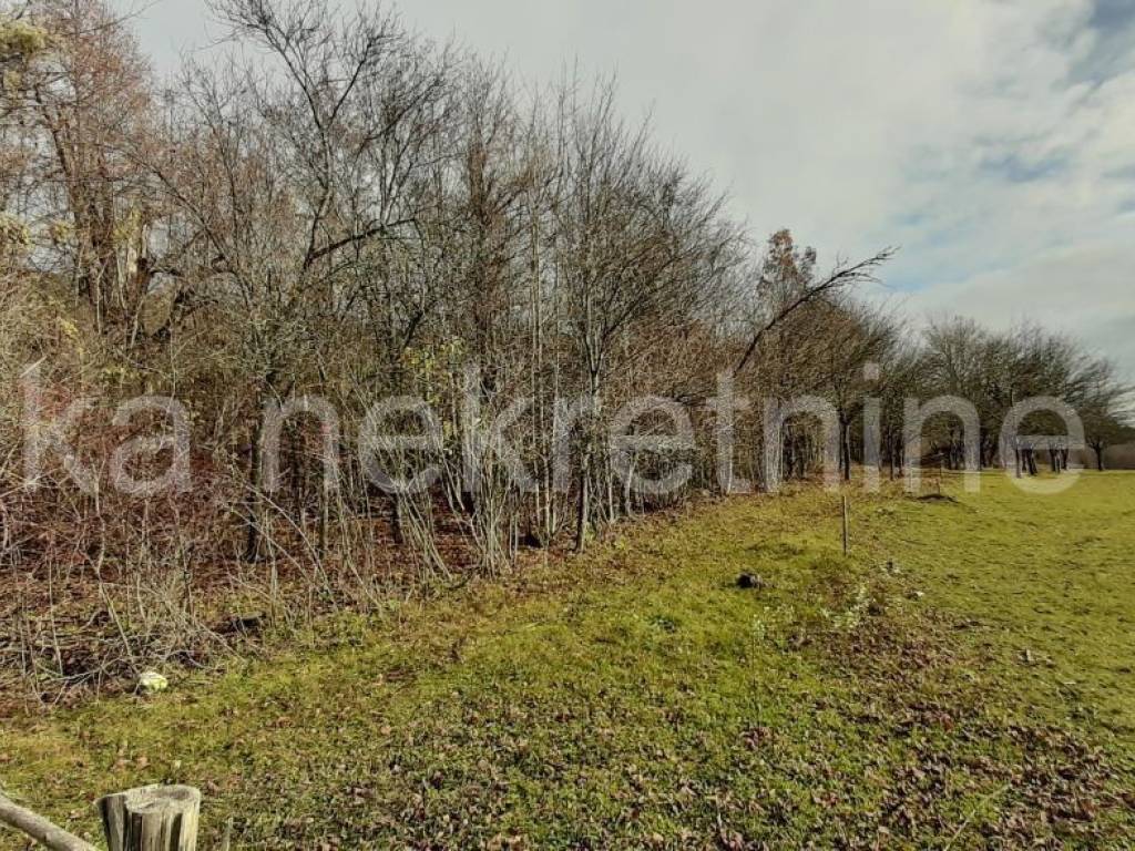 Samostojeća - starinska kuća, Prodaja, Vrhovine, Vrhovine