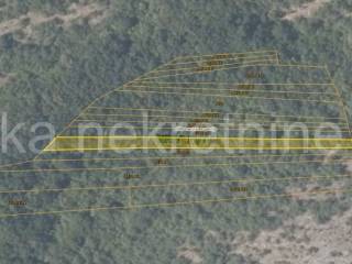 Pašnjak, Prodaja, Senj, Krivi Put