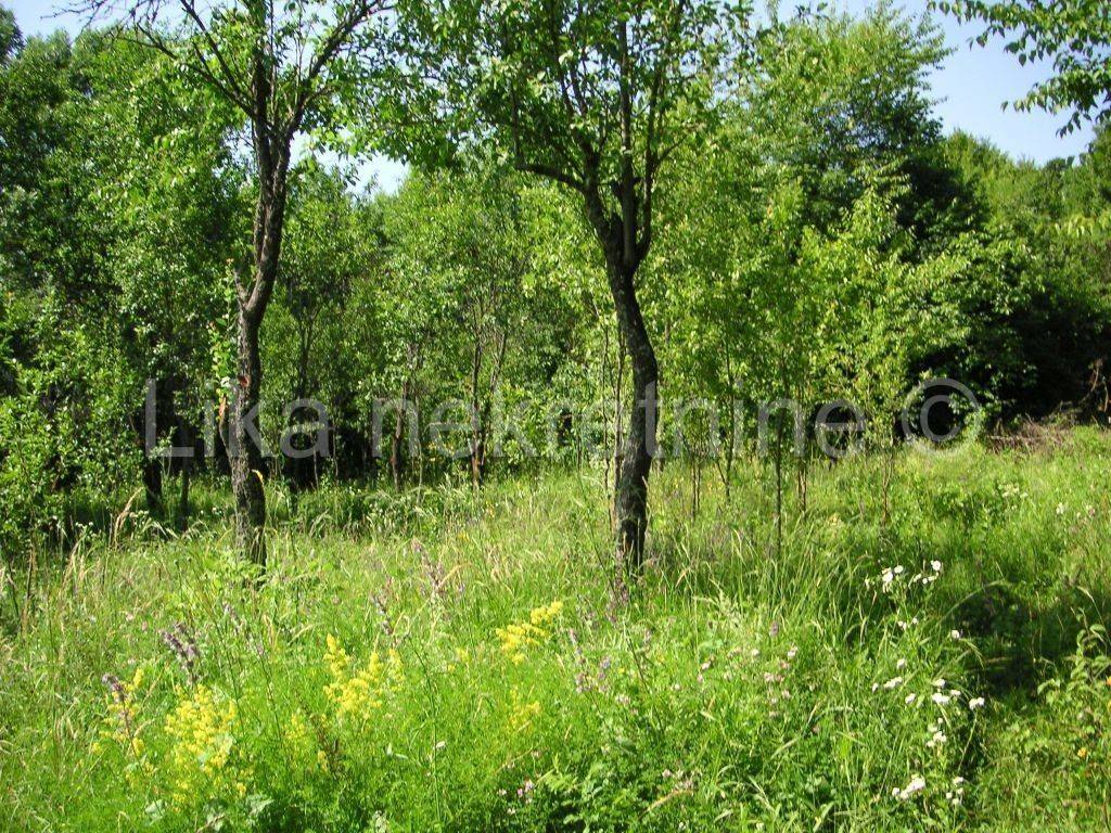 Građevnsko i poljoprivredno, Prodaja, Plitvička jezera, Smoljanac
