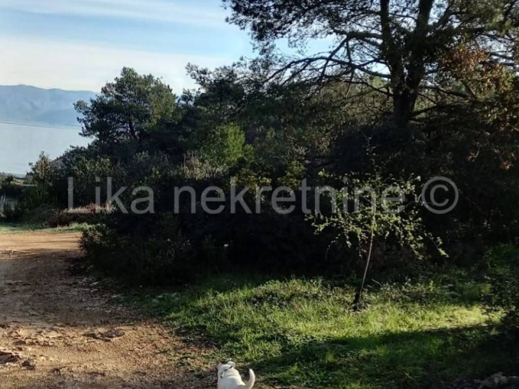 Poljoprivredno uz more - šuma, Prodaja, Sutivan, Sutivan