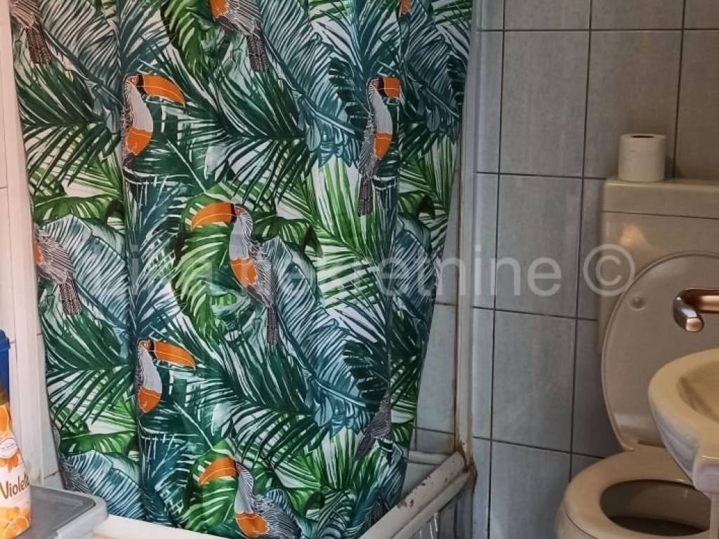 Samostojeća kuća, Prodaja, Saborsko, Saborsko