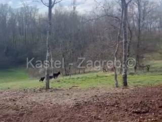 Građevinsko zemljište, Prodaja, Pazin - Okolica, Lindar