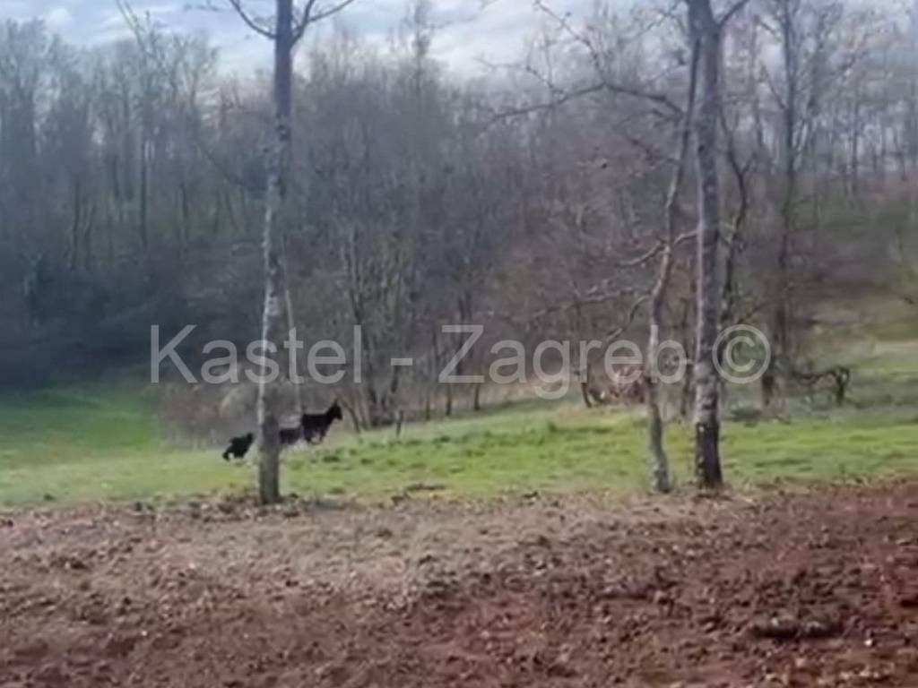 Građevinsko zemljište, Prodaja, Pazin - Okolica, Lindar