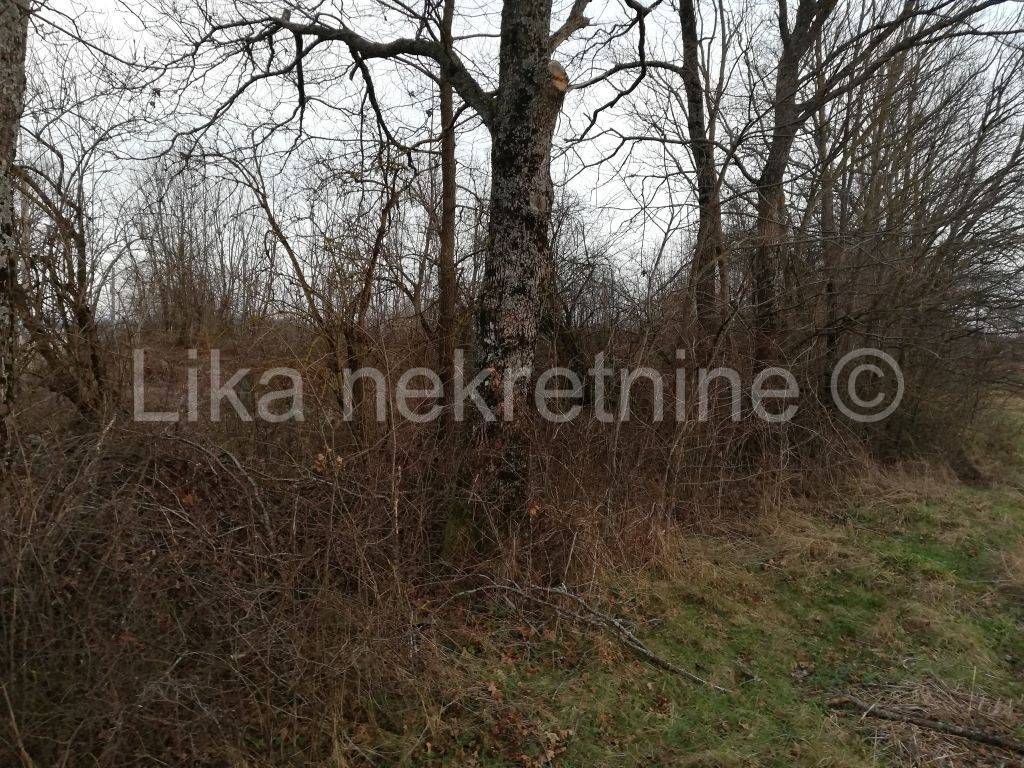 Građevinsko i poljoprivredno, Prodaja, Gospić - Okolica, Smiljan