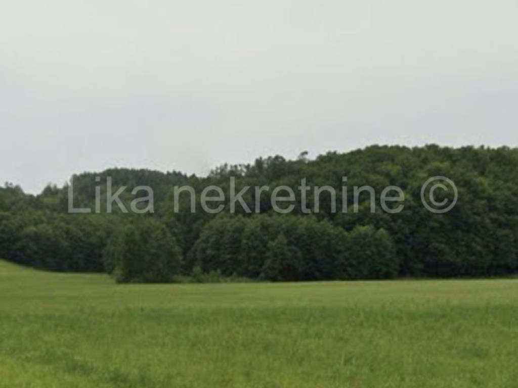 Livada i šuma, Prodaja, Cetingrad, Gojkovac