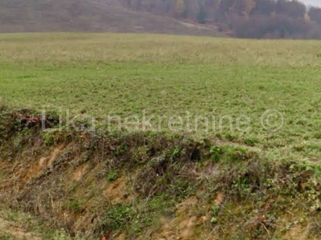 Livada i šuma, Prodaja, Cetingrad, Gojkovac