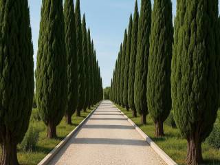 Vila, Prodaja, Poreč, Poreč