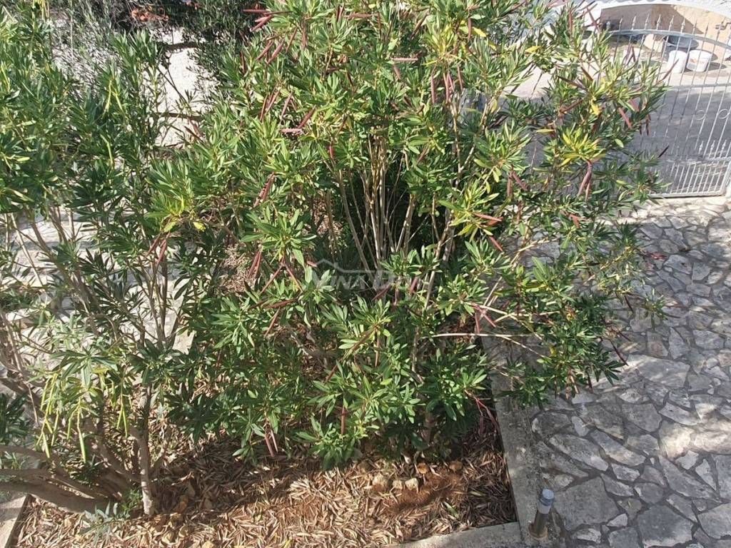 Obiteljska kuća, Prodaja, Vir, Vir