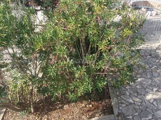 Obiteljska kuća, Prodaja, Vir, Vir