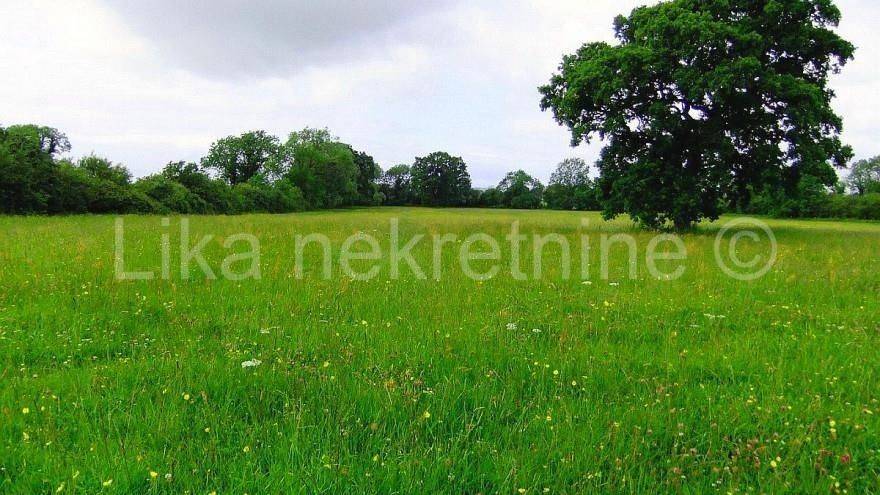 Poljoprivredno - oranica, Prodaja, Otočac, Škare