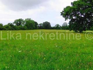 Poljoprivredno - oranica, Prodaja, Otočac, Škare